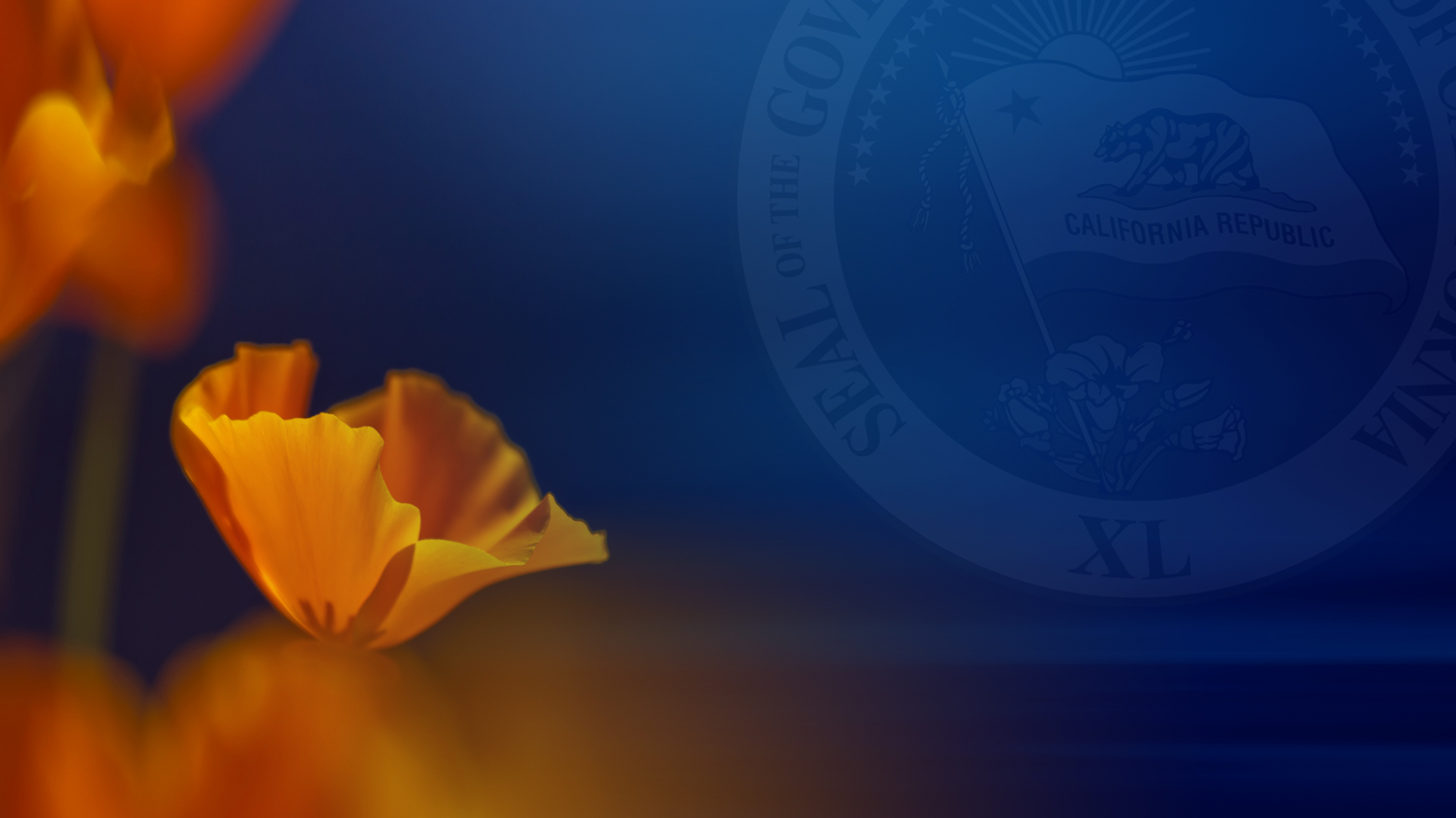 Governor Gavin Newsom Signs Wildfire Safety and Accountability Legislation