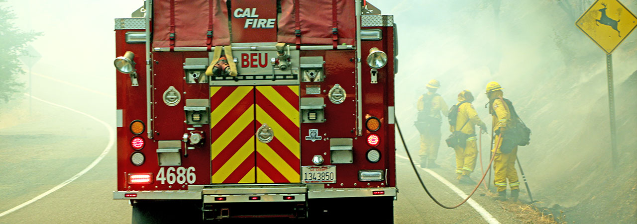 Cal-Fire firetruck in Forrest with fire man out fire