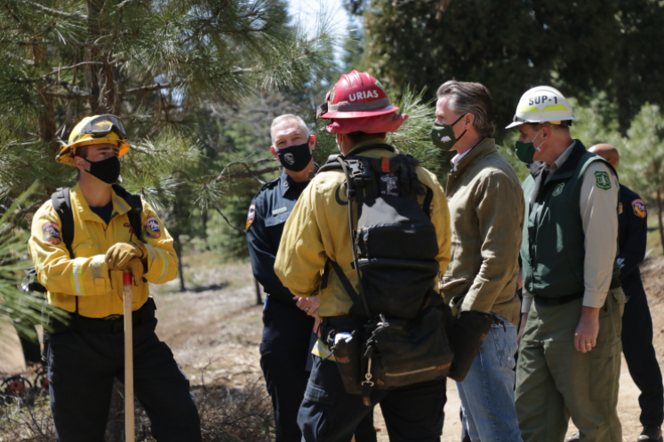 Governor’s Task Force Launches Strategic Plan to Ramp Up Wildfire Mitigation with Prescribed Fire Efforts