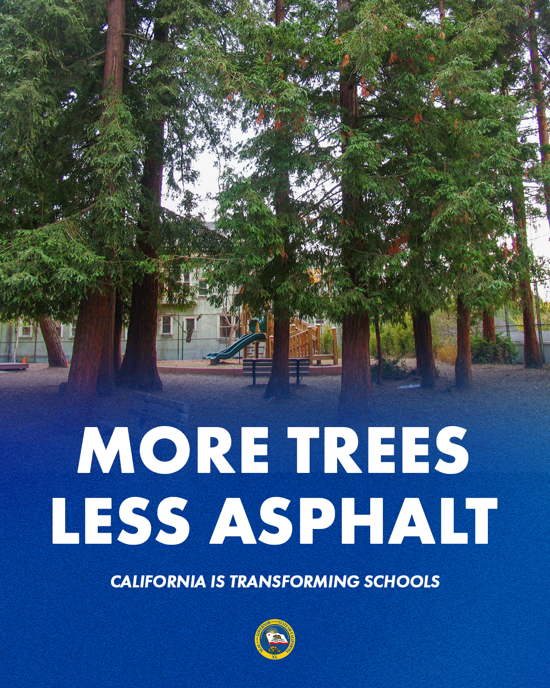 More Trees, Less Asphalt at School