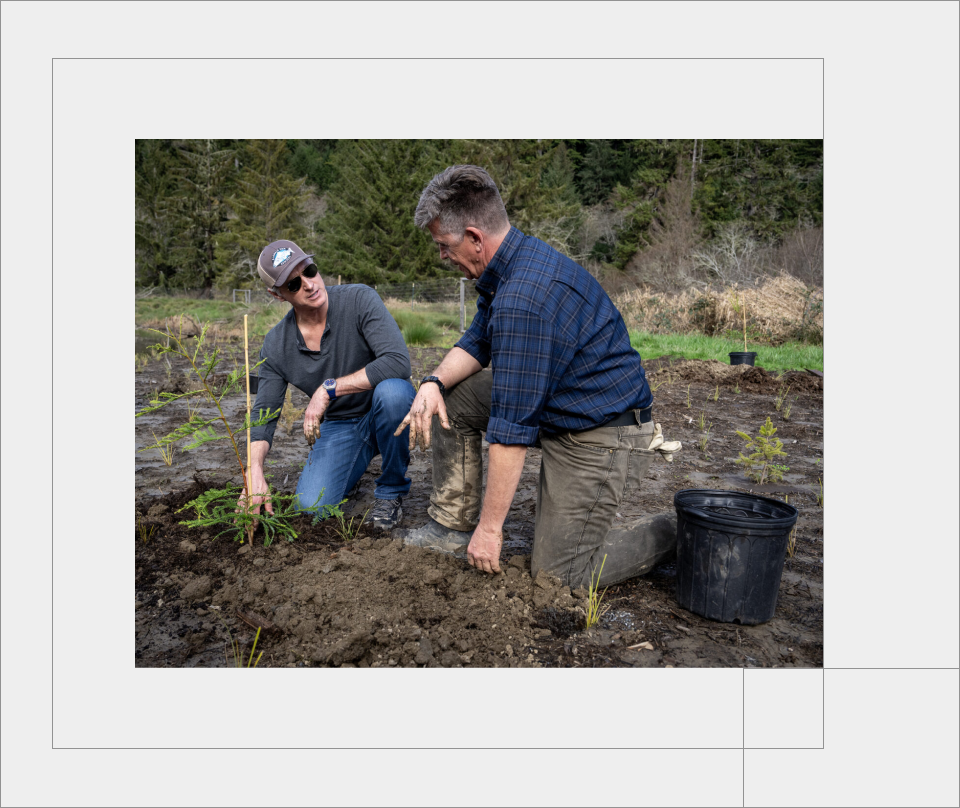 Governor Newsom in a gray long sleeve shirt, Klamath Dam Removal cap, and jeans and a man with a medium skin tone, button up shirt with rolled sleeves, and muddy gray jeans kneel in the dirt as they plant a tree sapling.