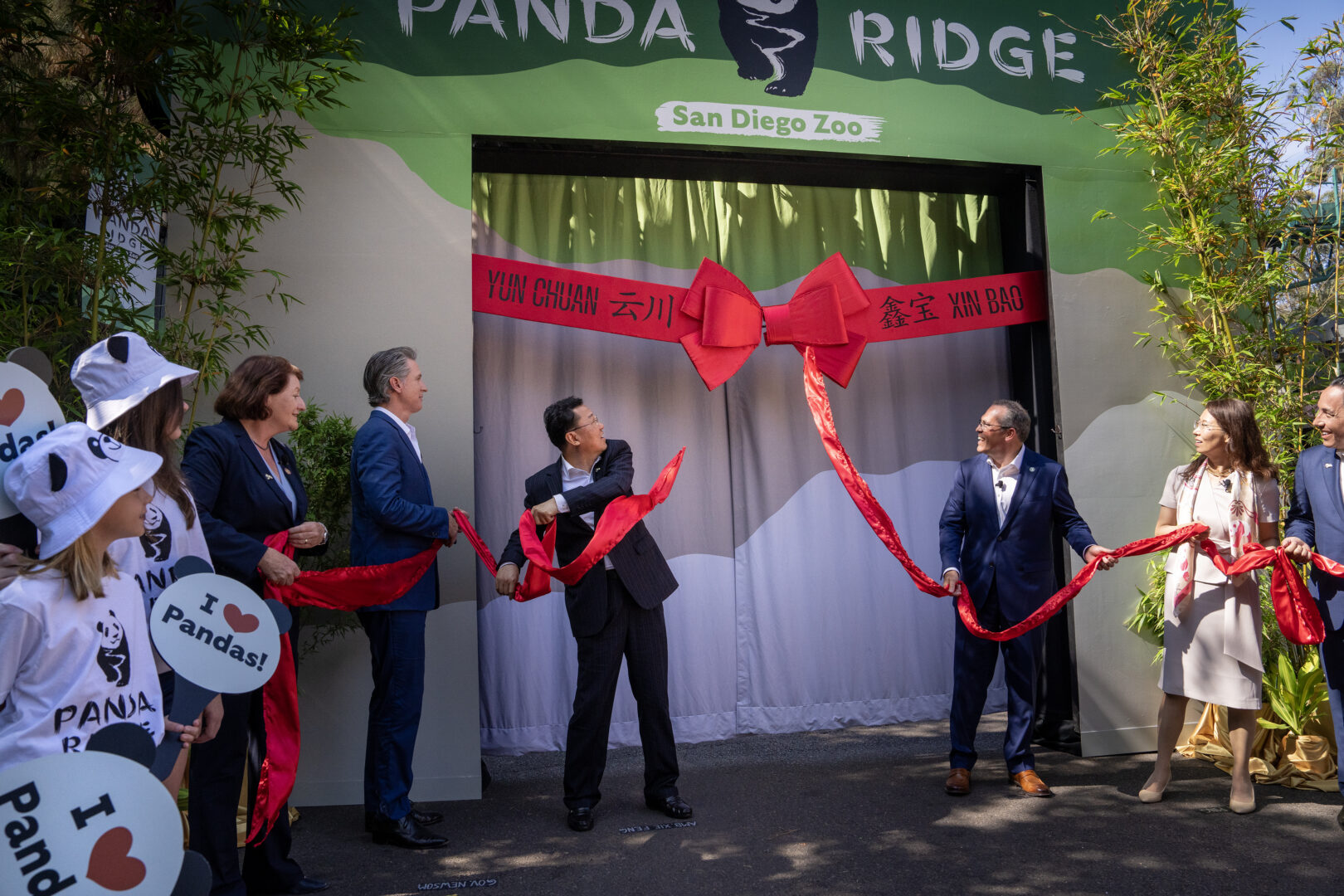 Governor And First Partner Welcome New Giant Panda Pair At San Diego ...