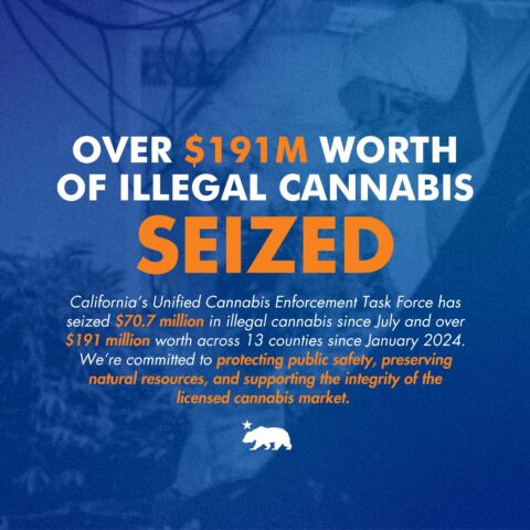 California seizes over $70 million in illegal cannabis since July ...