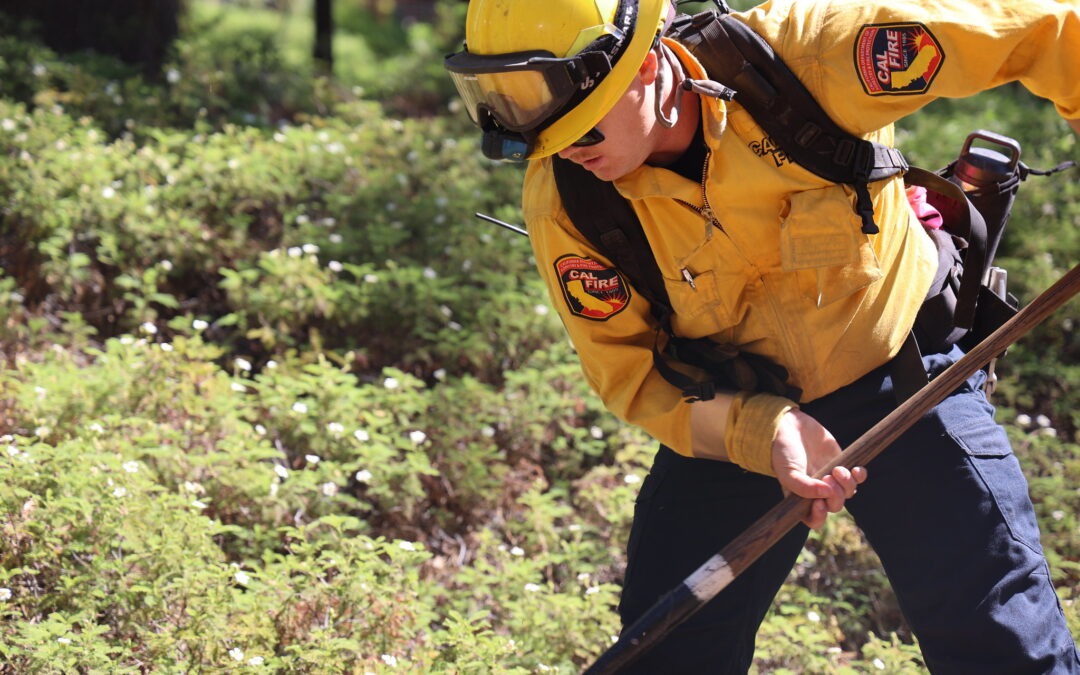 What they’re saying: California’s 25 key deliverables for 2025 to protect communities from wildfire