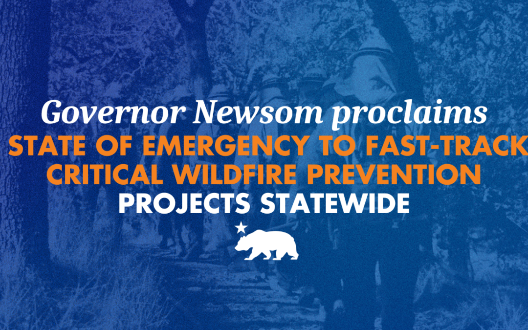 With growing fire risk, Governor Newsom proclaims state of emergency to fast-track critical wildfire prevention projects statewide