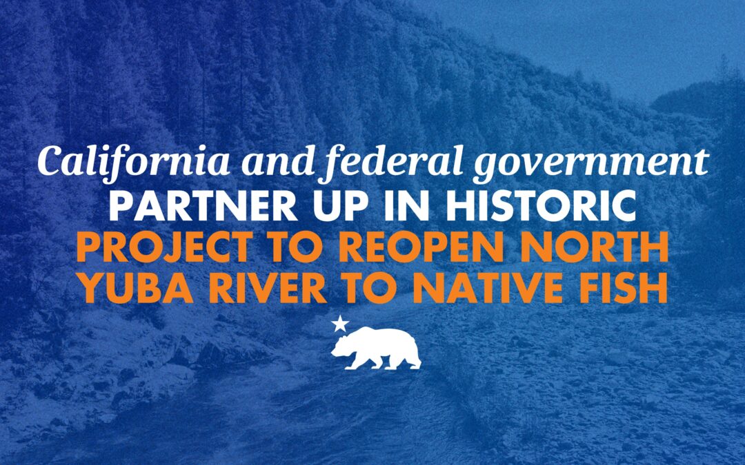 California, federal government, Yuba Water Agency partner up in historic project to reopen North Yuba River to native fish