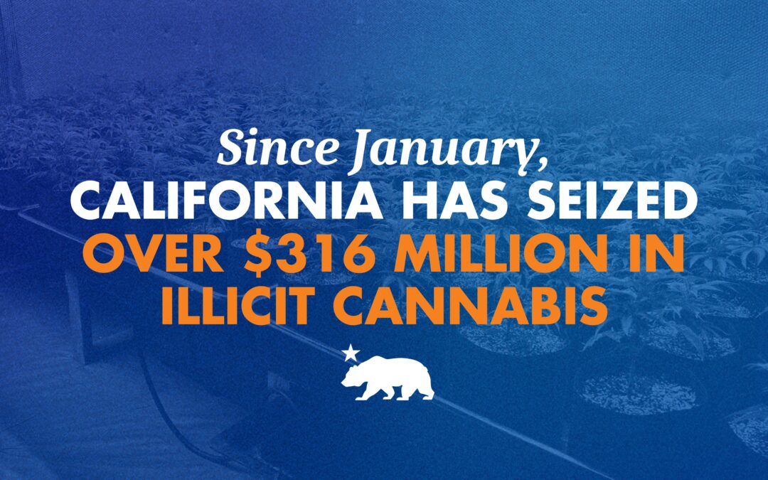 Since January, California has seized over $316 million in illicit cannabis