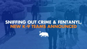 A graphic with a blue background and white and orange letters that says Sniffing out crime and fentanyl, new K-9 teams announced