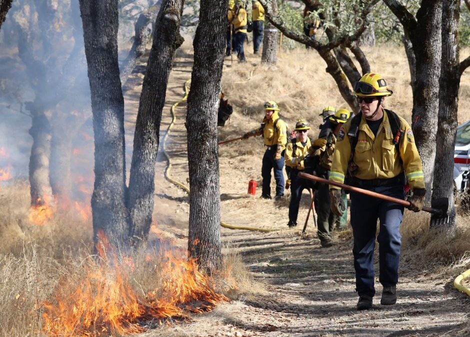 As Trump cuts U.S. Forest Service, California deploys an extra $72 million to reduce wildfire risk and ‘rake the forest,’ fast-tracks critical projects