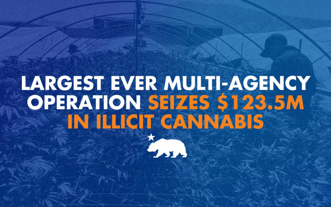 Largest ever multi-agency operation seizes $123.5 million in illicit cannabis
