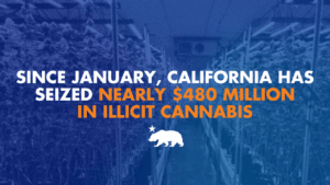 A graphic with a blue background and orange and white letters that says Since January, California has seized nearly $480 million in illicit cannabis