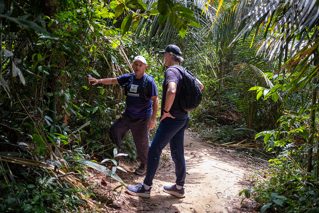 Governor Newsom champions historic climate action at global climate summit in Brazil