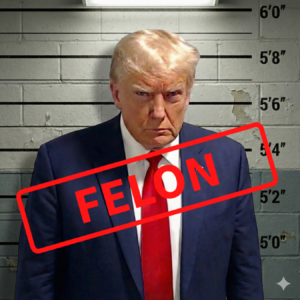 Trump mugshot with a felon stamp