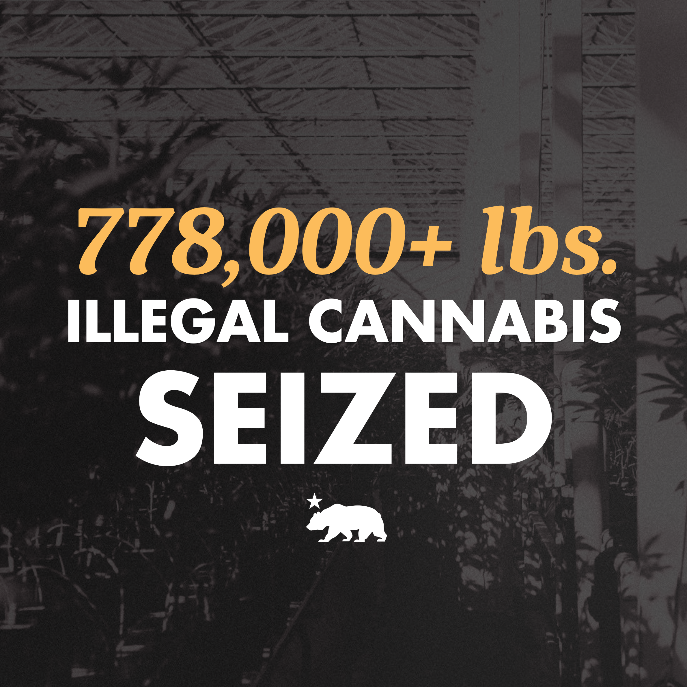 a graphic that says 778,00+ ilbs. illegal cannabis seized