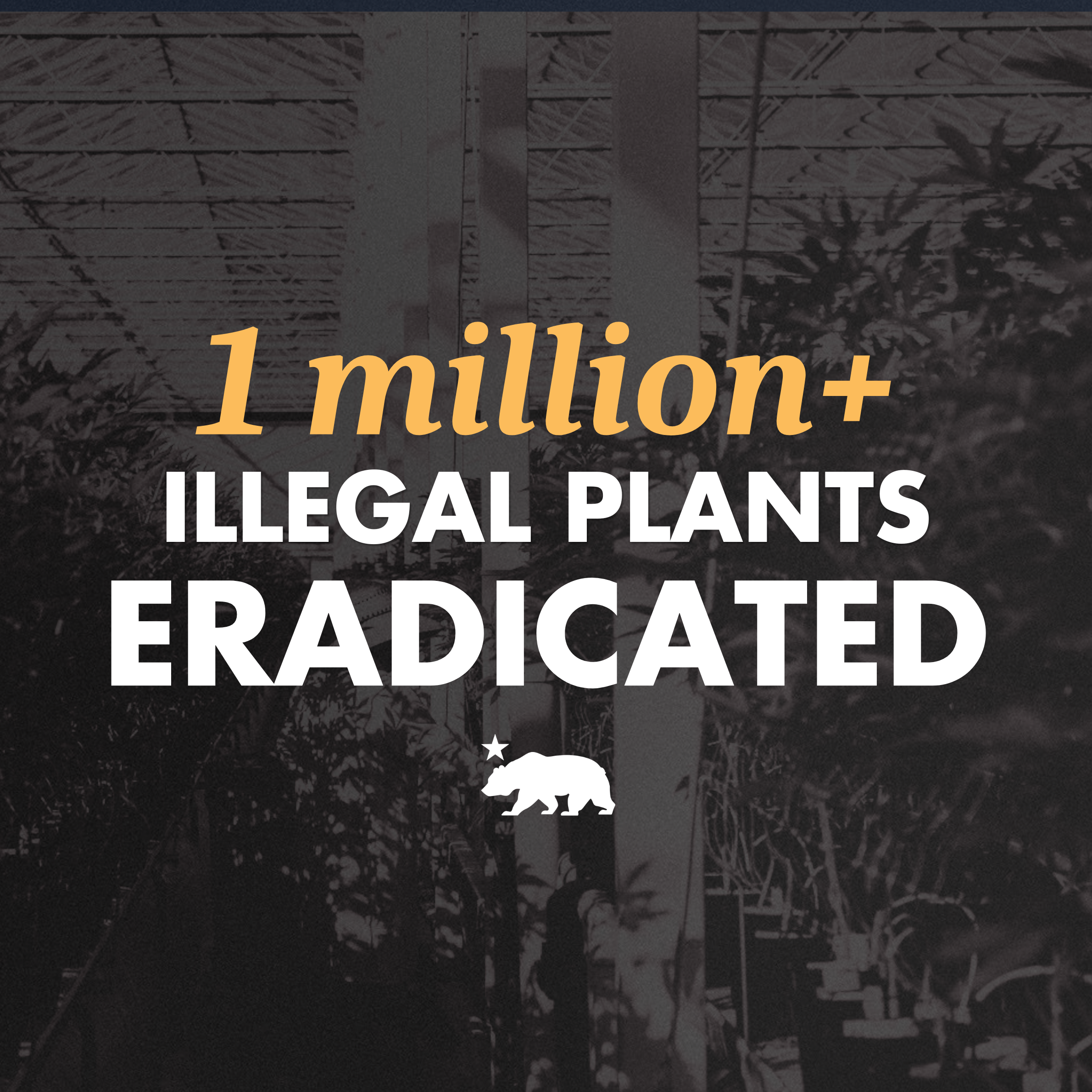 A graphic that says 1 million+ illegal plants eradicated