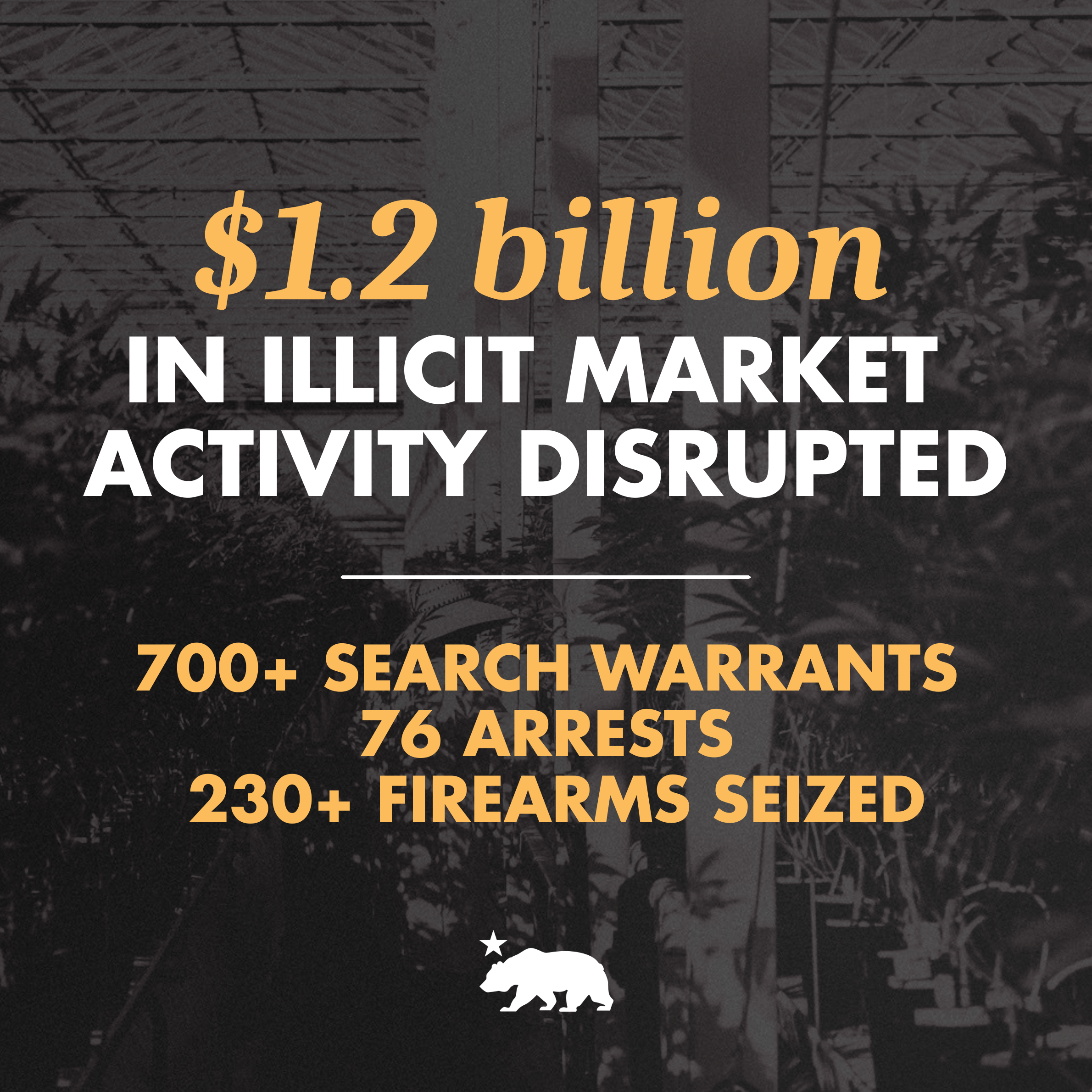 a graphic that says $1.2 billion in illicit market activity disrupted. 700+ search warrants. 76 arrests. 230+ firearms seized.