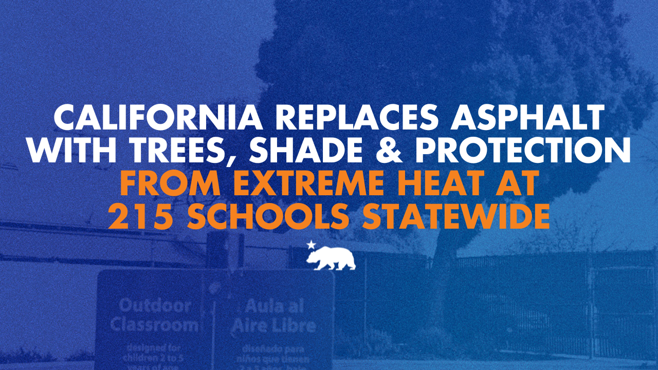 California has replaced asphalt with trees, shade, and protection from extreme heat at 215 schools statewide