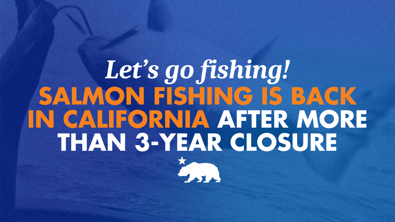 Let’s go fishing! Salmon fishing is back in California after more than 3-year closure