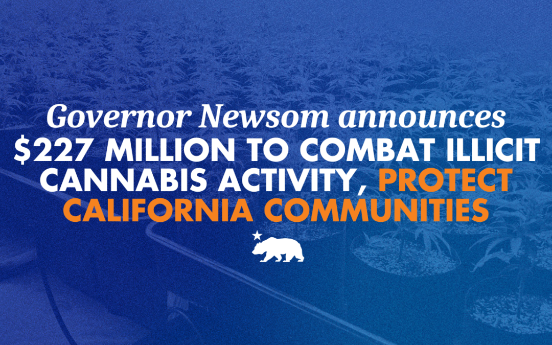 Governor Newsom announces $227 million to combat illicit cannabis activity and protect California communities
