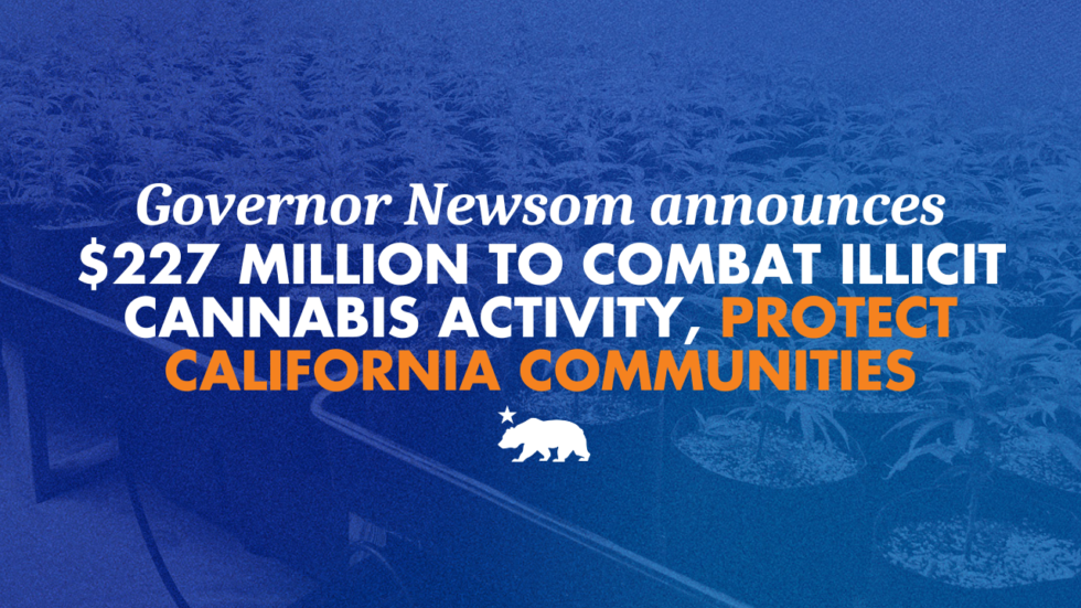 A graphic that says Governor Newsom announces $227 million to combat illicit cannabis activity and protect California communities