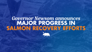 Graphic with a blue-tinted photo of a salmon swimming in water, overlaid with text reading: Governor Newsom announces major progress in salmon recovery efforts. California state bear emblem below the text.