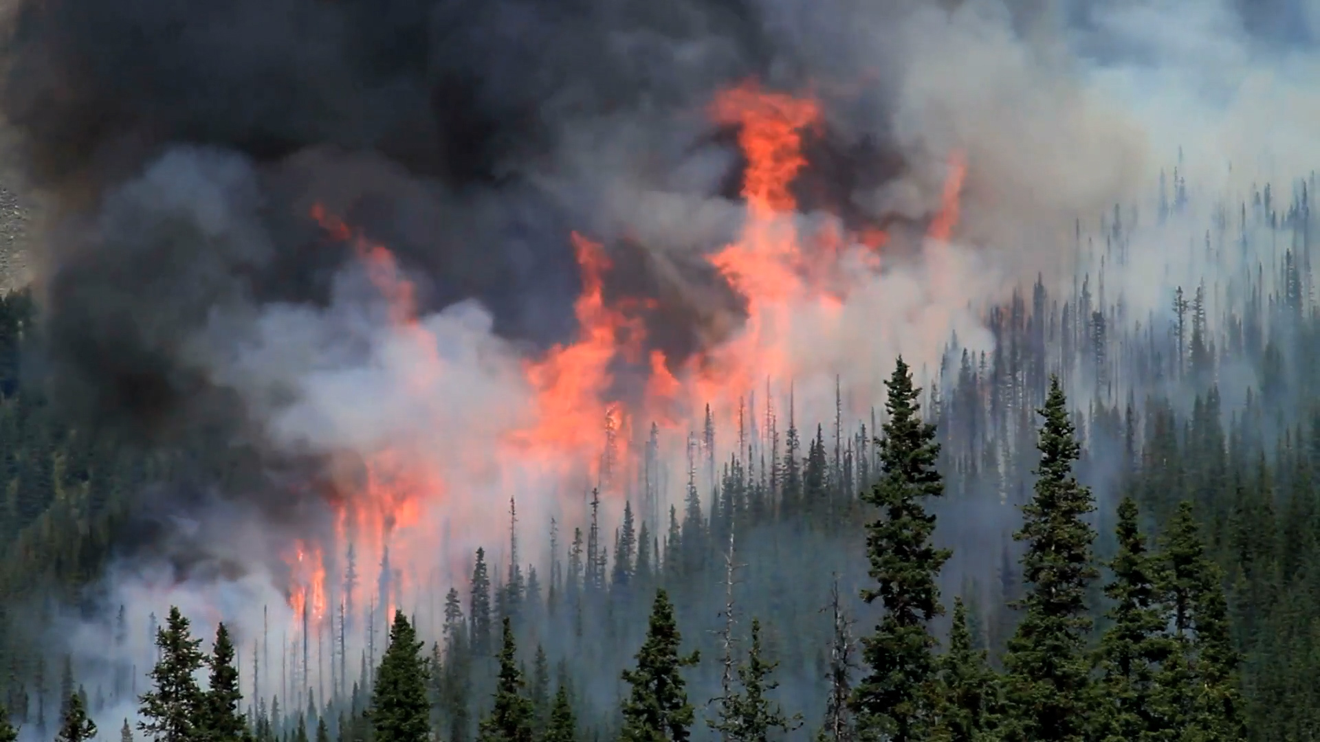 A picture of the Creek Fire.